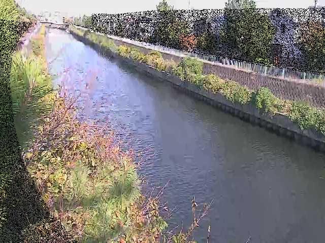 大平橋付近のカメラ画像