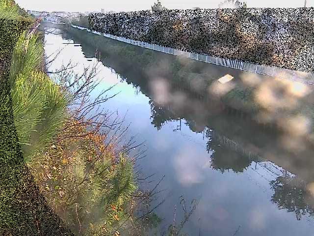 大平橋付近のカメラ画像