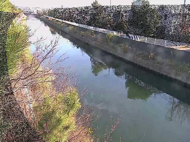 大平橋付近のカメラ画像