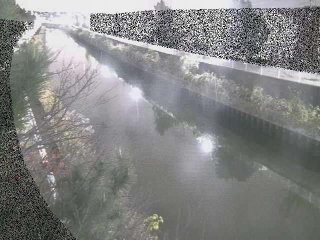大平橋付近のカメラ画像