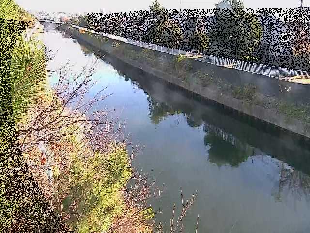 大平橋付近のカメラ画像