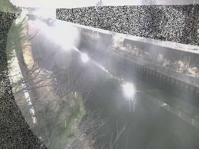 大平橋付近のカメラ画像