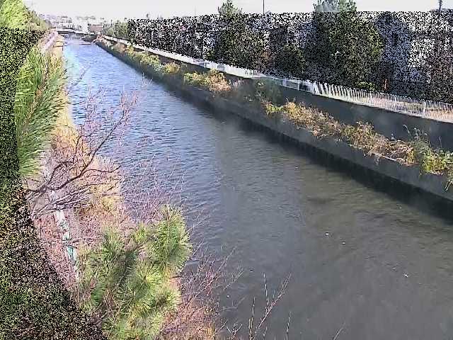 引地川 大平橋付近のカメラ画像