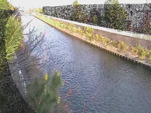 大平橋付近のカメラ画像