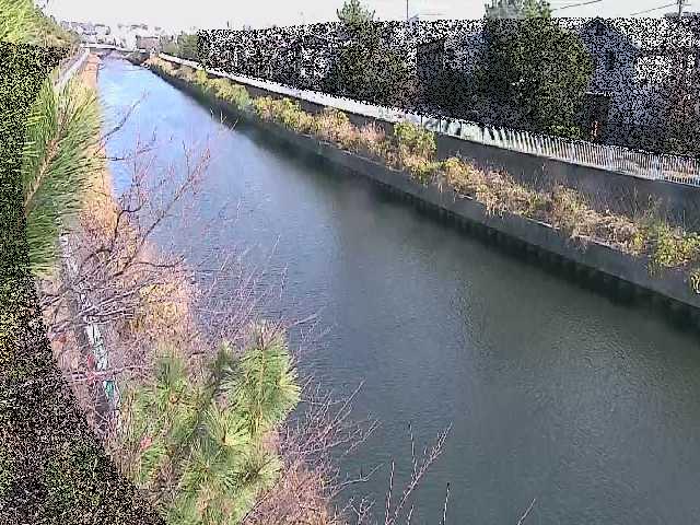 大平橋付近のカメラ画像