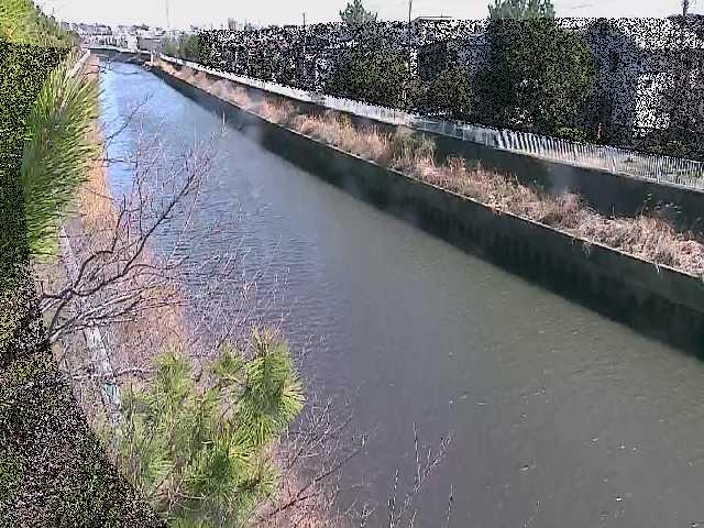 大平橋付近のカメラ画像
