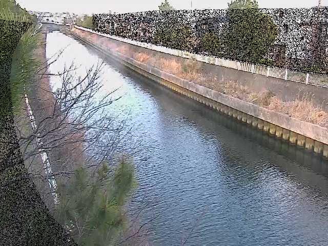 引地川 大平橋付近のカメラ画像