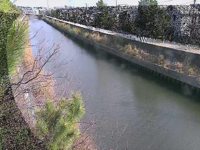 大平橋付近のカメラ画像