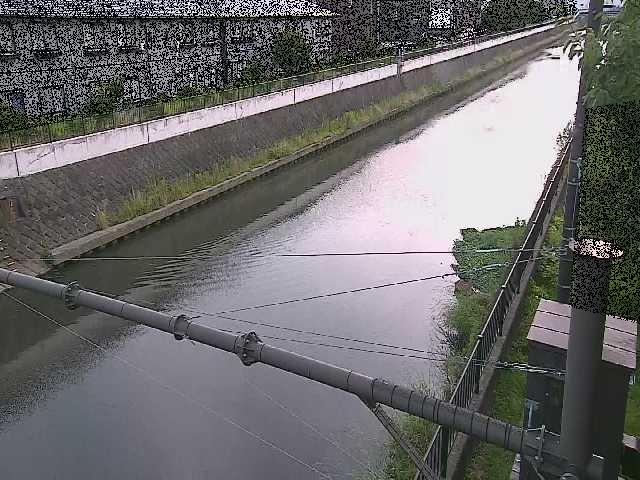 富士見橋付近のカメラ画像