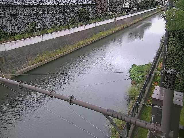 千の川 富士見橋付近のカメラ画像