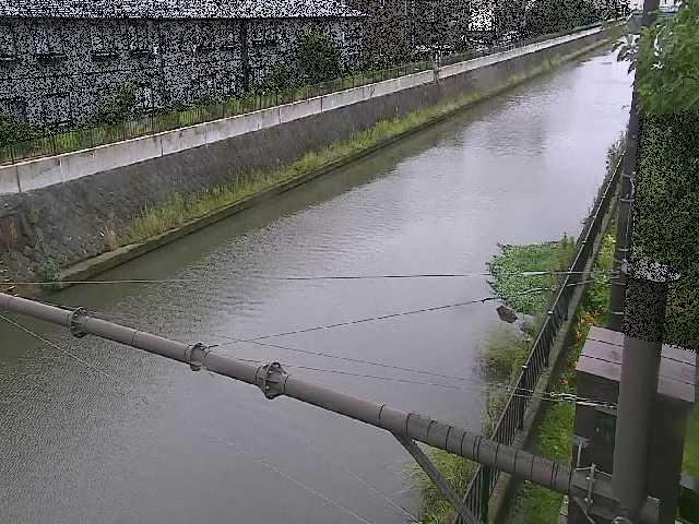 富士見橋付近のカメラ画像