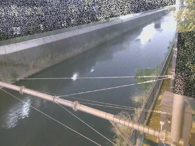 千の川 富士見橋付近のカメラ画像