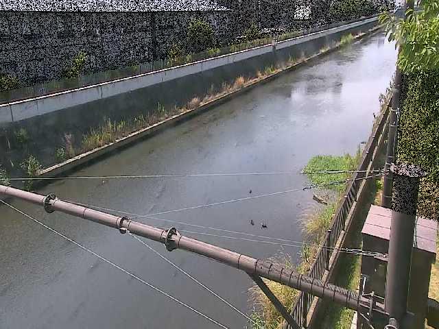 千の川 富士見橋付近のカメラ画像