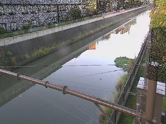 富士見橋付近のカメラ画像