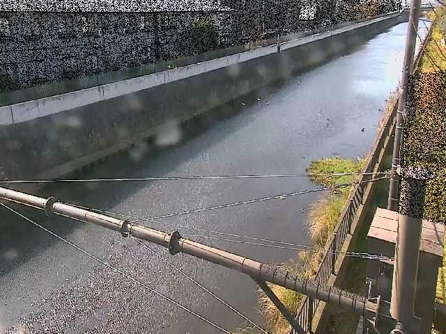 千の川 富士見橋付近のカメラ画像
