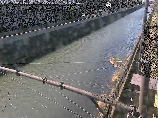 富士見橋付近のカメラ画像
