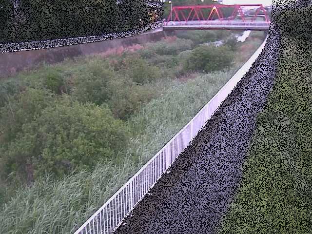 新鶴嶺橋付近のカメラ画像