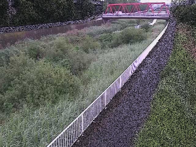 新鶴嶺橋付近のカメラ画像