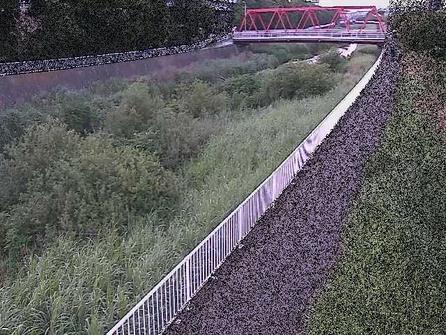 新鶴嶺橋付近のカメラ画像