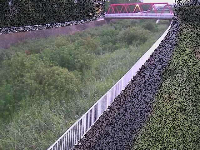 小出川 新鶴嶺橋付近のカメラ画像