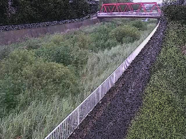 新鶴嶺橋付近のカメラ画像