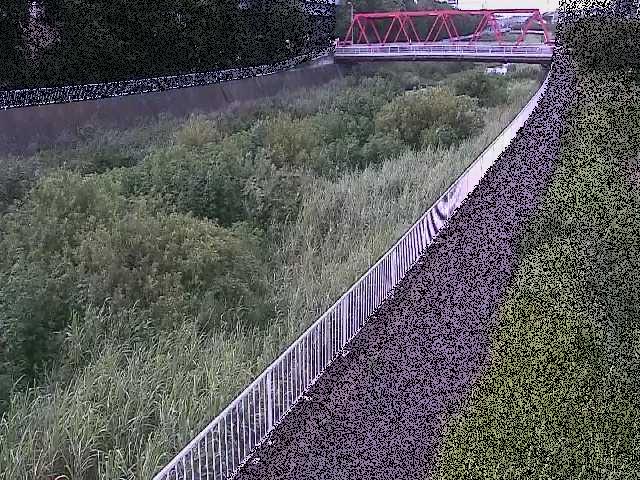小出川 新鶴嶺橋付近のカメラ画像