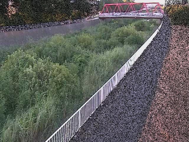 小出川 新鶴嶺橋付近のカメラ画像