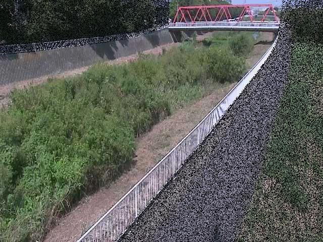 小出川 新鶴嶺橋付近のカメラ画像