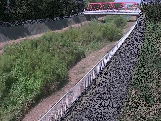 新鶴嶺橋付近のカメラ画像