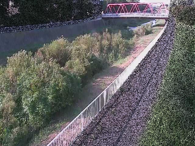 小出川 新鶴嶺橋付近のカメラ画像