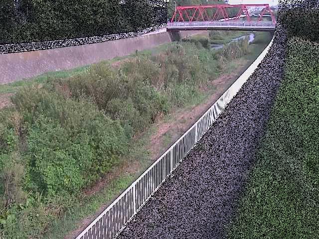 新鶴嶺橋付近のカメラ画像