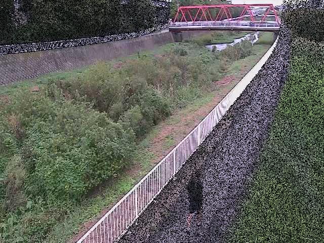 新鶴嶺橋付近のカメラ画像