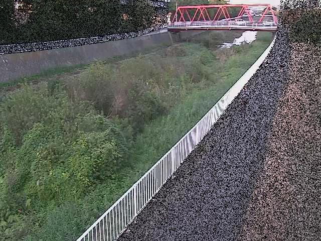 小出川 新鶴嶺橋付近のカメラ画像
