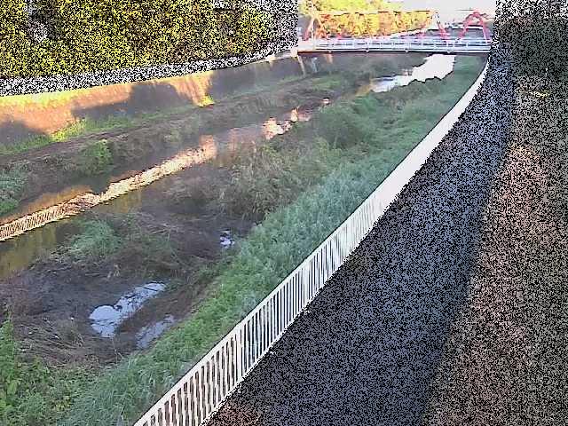 新鶴嶺橋付近のカメラ画像