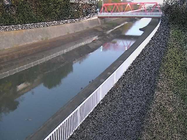 小出川 新鶴嶺橋付近のカメラ画像