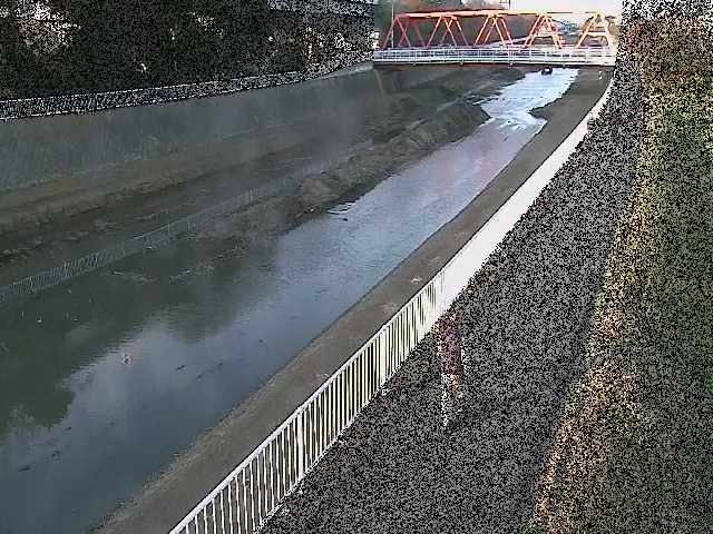 新鶴嶺橋付近のカメラ画像