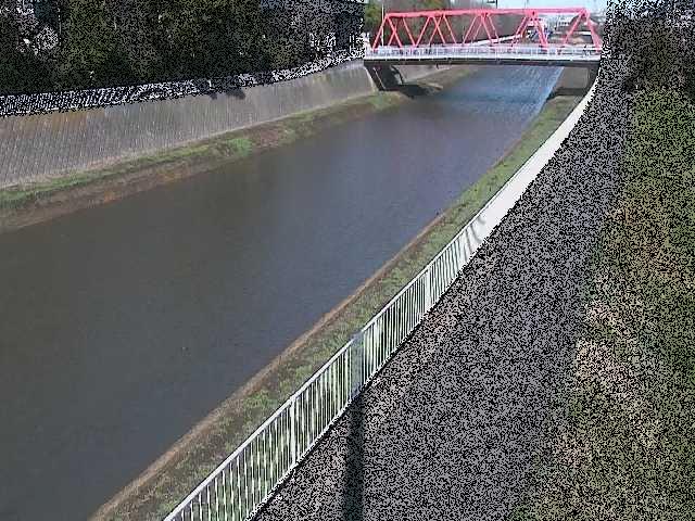 新鶴嶺橋付近のカメラ画像