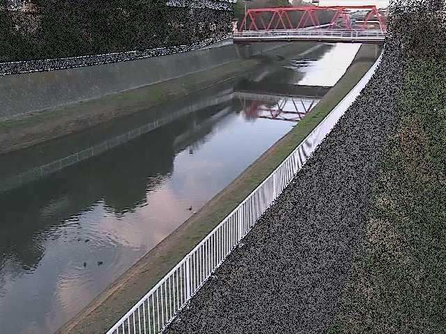 小出川 新鶴嶺橋付近のカメラ画像