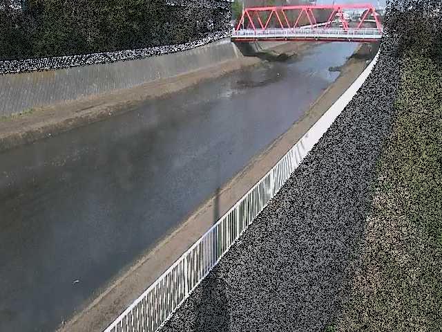 新鶴嶺橋付近のカメラ画像