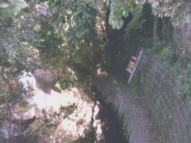 滑川 大町橋付近のカメラ画像