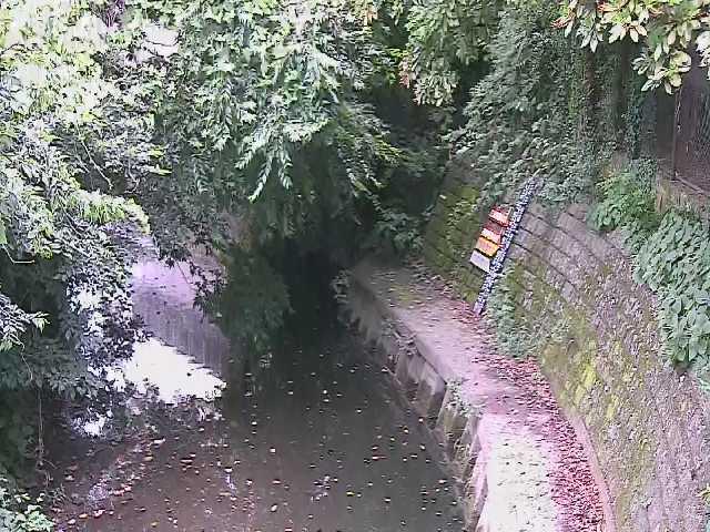 滑川 大町橋付近のカメラ画像