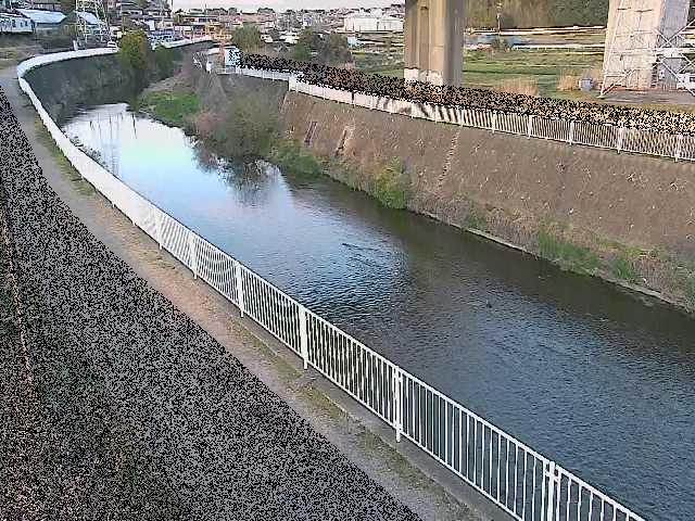 引地川 石川橋付近のカメラ画像