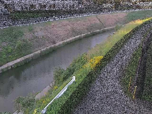 境川 高鎌橋付近のカメラ画像