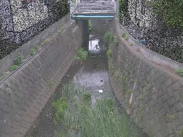 大津橋付近のカメラ画像