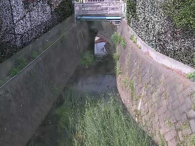 大津橋付近のカメラ画像