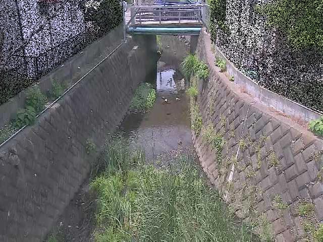 大津橋付近のカメラ画像