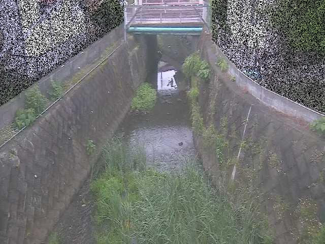 大津橋付近のカメラ画像