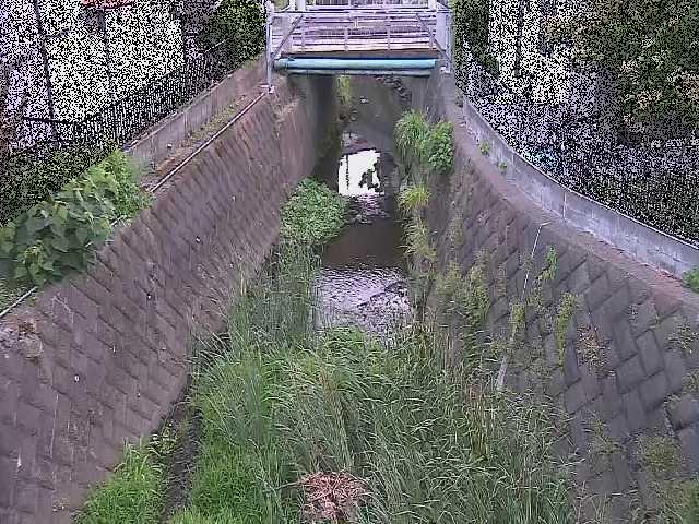 大津橋付近のカメラ画像