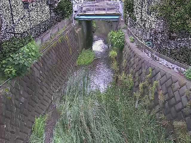 大津橋付近のカメラ画像