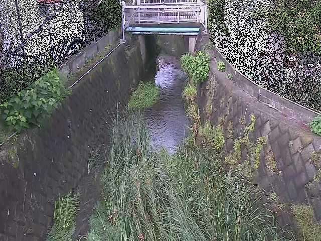 大津橋付近のカメラ画像